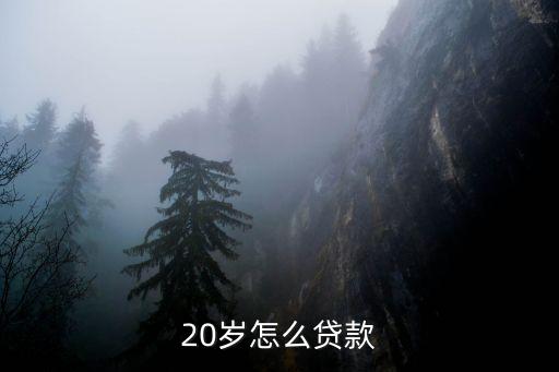 怎么按揭20，20歲怎么貸款