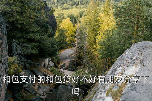 和包支付的和包貸好不好有朋友分享下嗎