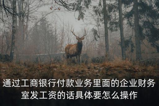 通過工商銀行付款業(yè)務(wù)里面的企業(yè)財務(wù)室發(fā)工資的話具體要怎么操作