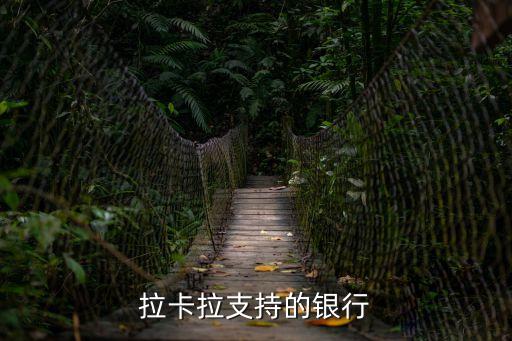 拉卡拉支持的銀行