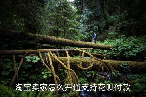 淘寶商家怎么設(shè)置花唄，淘寶賣家怎么開通支持花唄付款