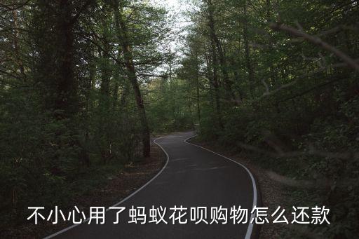 不小心用了螞蟻花唄購(gòu)物怎么還款