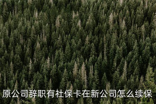 原公司辭職有社?？ㄔ谛鹿驹趺蠢m(xù)保
