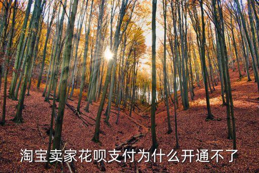 淘寶賣家花唄支付為什么開通不了