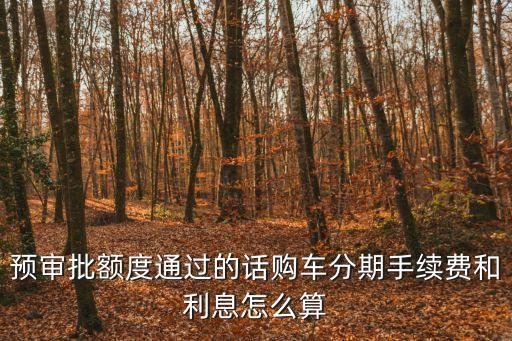 信用卡 買車 手續(xù)費怎么算法，預審批額度通過的話購車分期手續(xù)費和利息怎么算