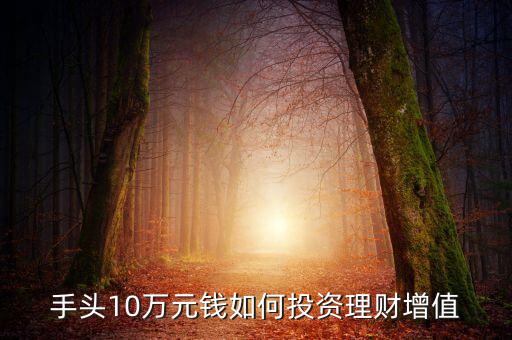 手頭10萬(wàn)元錢如何投資理財(cái)增值