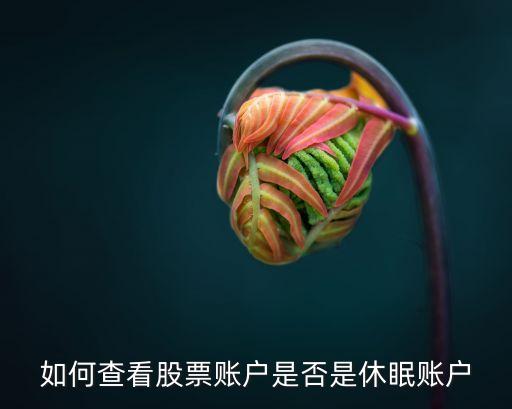怎么知道股票帳號(hào)休眠，如何查看股票賬戶(hù)是否是休眠賬戶(hù)