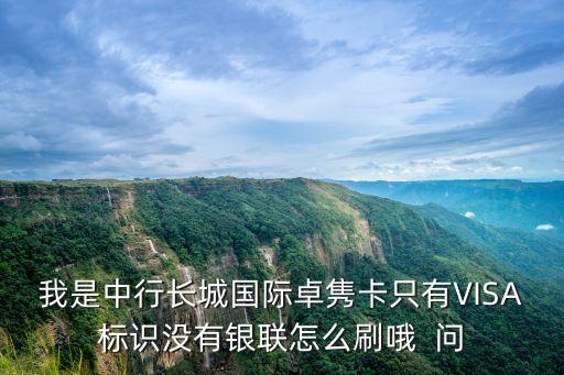 我是中行長城國際卓雋卡只有VISA標(biāo)識沒有銀聯(lián)怎么刷哦  問