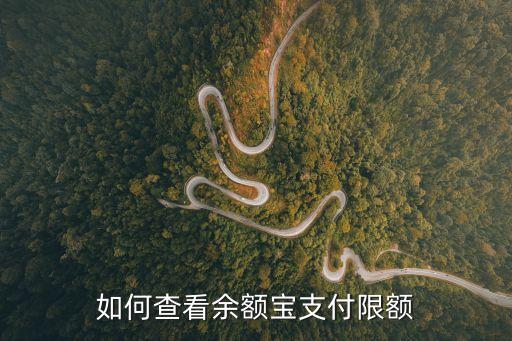 余額寶剩余限額怎么查，如何查看余額寶支付限額