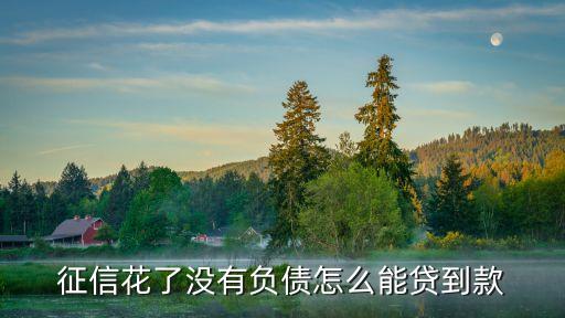 征信花了沒有負(fù)債怎么能貸到款