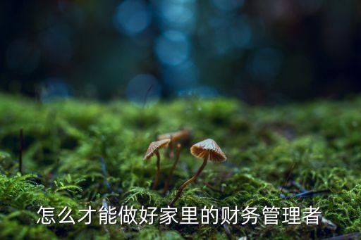 家庭財務(wù)顧問怎么干，我有朋友想做財務(wù)顧問到底財務(wù)顧問是做什么的