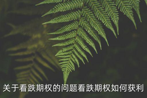 關(guān)于看跌期權(quán)的問題看跌期權(quán)如何獲利