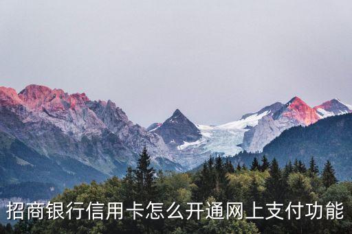 招行網上支付怎么開通嗎，招商信用卡怎么開通網上支付功能