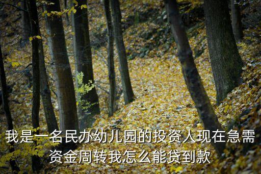 幼兒園怎么可以貸款，我想貸款開幼兒園需要怎么辦理希望各位行家指條路