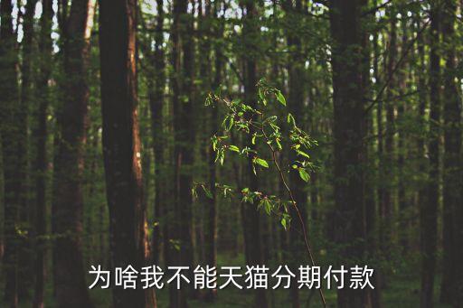 為啥我不能天貓分期付款