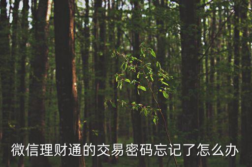 微信理財(cái)通的交易密碼忘記了怎么辦