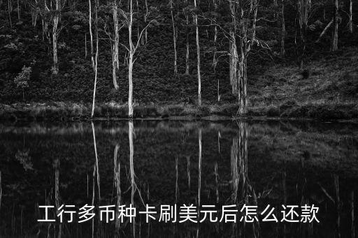 工行多幣種卡刷美元后怎么還款