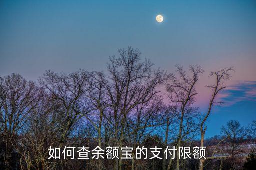 如何查余額寶的支付限額