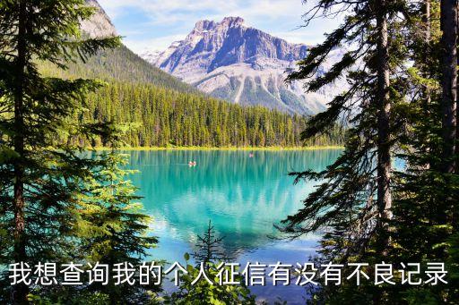 我想查詢我的個人征信有沒有不良記錄