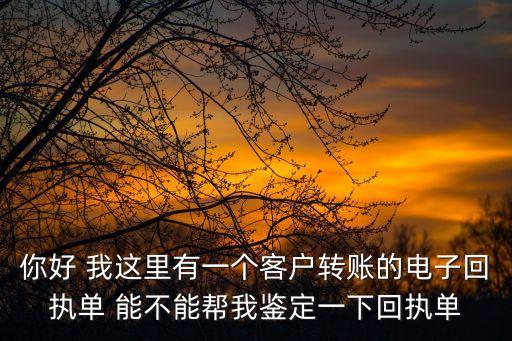 你好 我這里有一個客戶轉(zhuǎn)賬的電子回執(zhí)單 能不能幫我鑒定一下回執(zhí)單