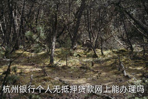 杭州銀行個人無抵押貸款網(wǎng)上能辦理嗎