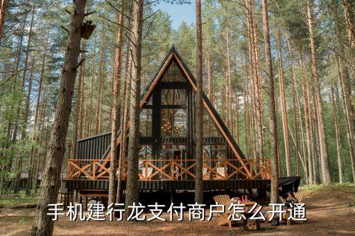 龍商戶怎么收款，手機(jī)建行龍支付商戶怎么開通