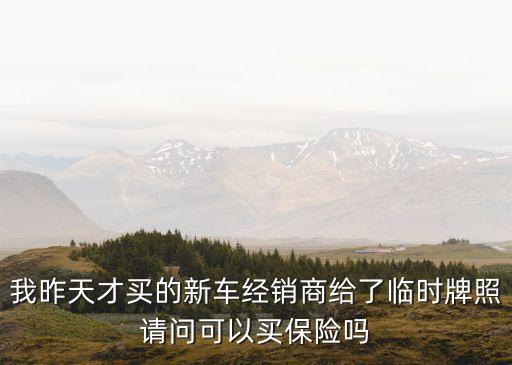 我昨天才買的新車經(jīng)銷商給了臨時(shí)牌照請(qǐng)問可以買保險(xiǎn)嗎