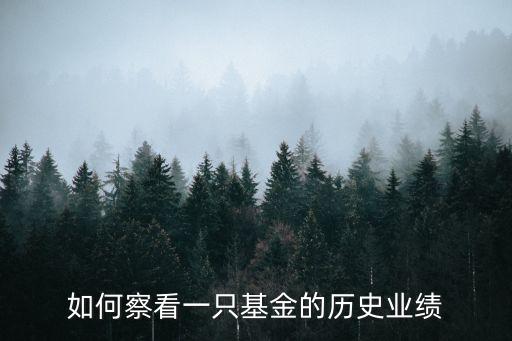 如何察看一只基金的歷史業(yè)績