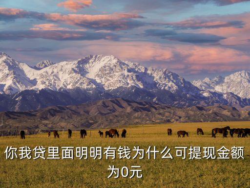 你我貸里面明明有錢(qián)為什么可提現(xiàn)金額為0元