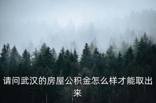 請(qǐng)問武漢的房屋公積金怎么樣才能取出來