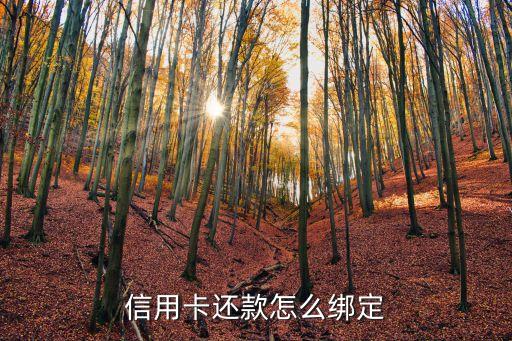 怎么綁定中信信用卡還款，怎么用中信的銀行卡還我的中信信用卡
