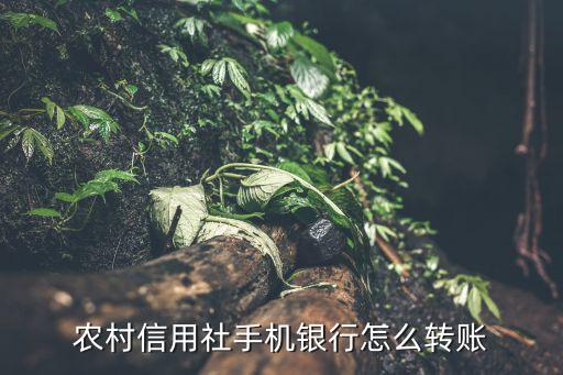 農(nóng)商手機(jī)銀行怎么轉(zhuǎn)賬，農(nóng)村商業(yè)銀行網(wǎng)銀怎么轉(zhuǎn)帳建設(shè)銀行
