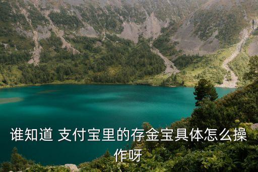誰(shuí)知道 支付寶里的存金寶具體怎么操作呀