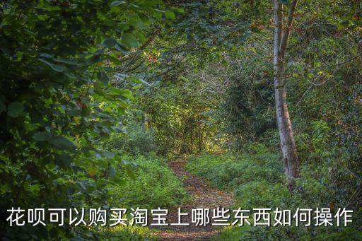 淘寶花唄怎么使用范圍，淘寶上哪些商品可以用花唄來購買