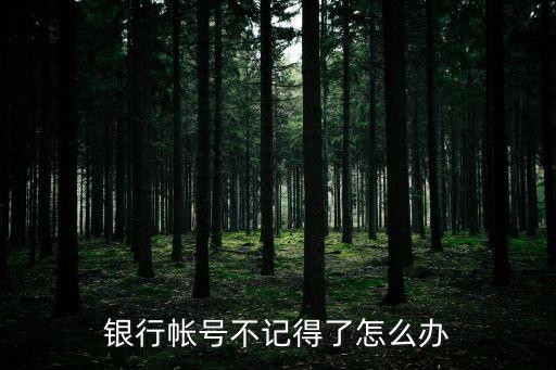 銀行賬戶丟失說明怎么寫，中國(guó)工商銀行卡的賬號(hào)不見了怎么辦