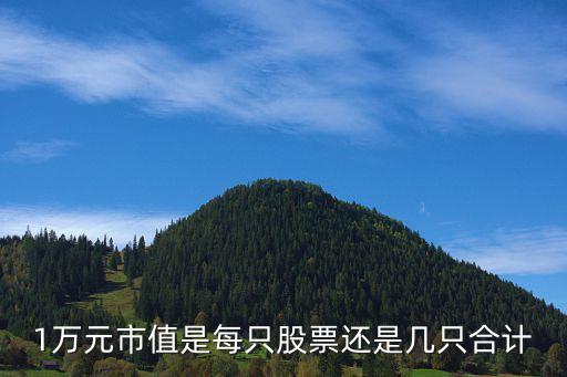 持股市值怎么算，1萬(wàn)元市值是每只股票還是幾只合計(jì)