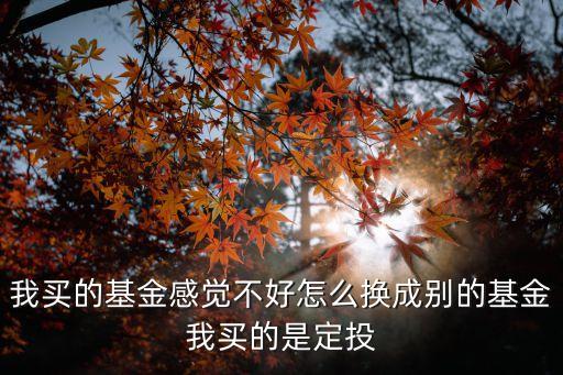 我買的基金感覺(jué)不好怎么換成別的基金我買的是定投