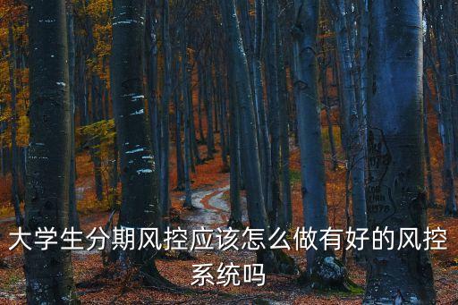 怎么才能干風(fēng)控，大學(xué)生分期風(fēng)控應(yīng)該怎么做有好的風(fēng)控系統(tǒng)嗎