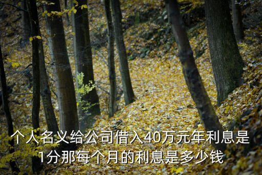個(gè)人名義給公司借入40萬(wàn)元年利息是1分那每個(gè)月的利息是多少錢