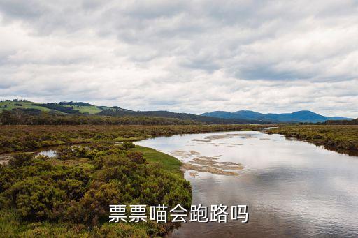 票票喵理財(cái)平臺(tái)怎么樣，票票喵會(huì)跑路嗎
