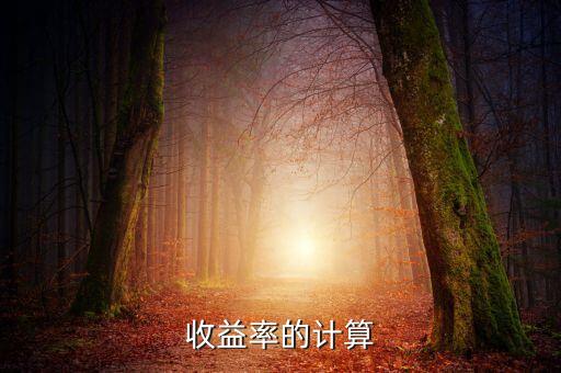 收益率的計(jì)算