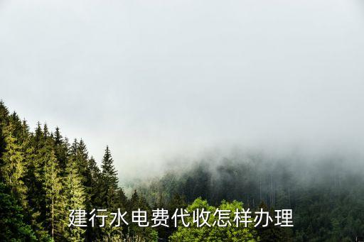 建行代繳電費怎么辦，建設(shè)銀行手機網(wǎng)上銀行如何代繳水電費最好有圖