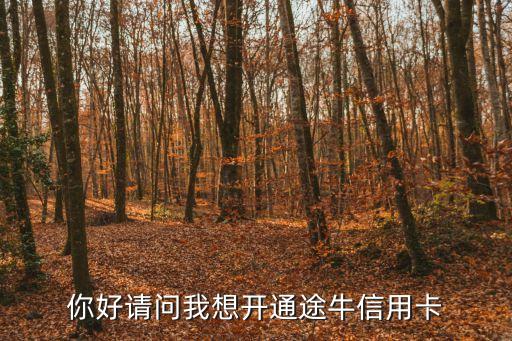 工行途牛金卡怎么申請(qǐng)，你好請(qǐng)問我想開通途牛信用卡