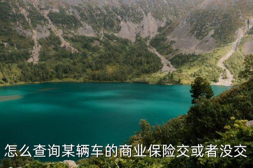 怎么查詢某輛車的商業(yè)保險交或者沒交