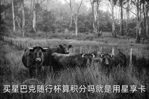 星巴克積分怎么算 單次，買星巴克隨行杯算積分嗎就是用星享卡