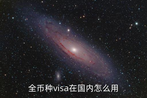全幣種visa在國(guó)內(nèi)怎么用