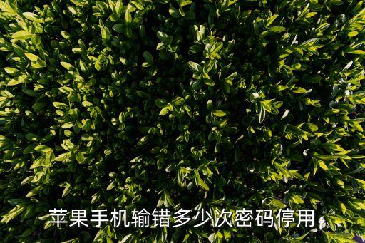 密碼輸入錯誤兩次怎么辦，DNF二級密碼輸入3次錯誤被限制怎么解決