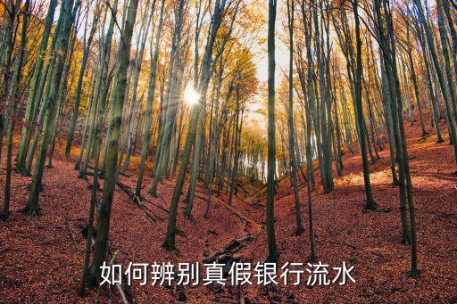 如何辨別真假銀行流水