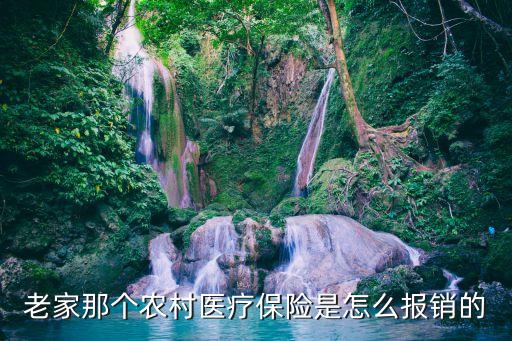 老家醫(yī)保怎么報(bào)銷，農(nóng)村醫(yī)保報(bào)銷需要哪些流程和資料