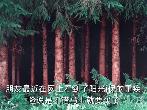 i保終身重疾險怎么樣，i保終身重疾險怎么樣 i保終身重疾險怎么購買